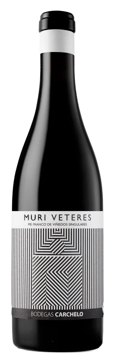 MURI VETERES