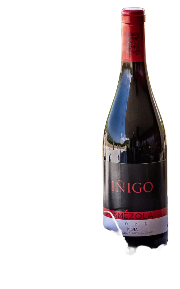 Iñigo Amézola