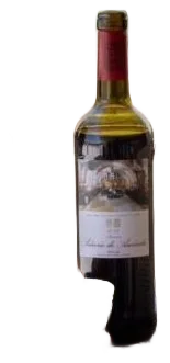 Señorío de Amézola