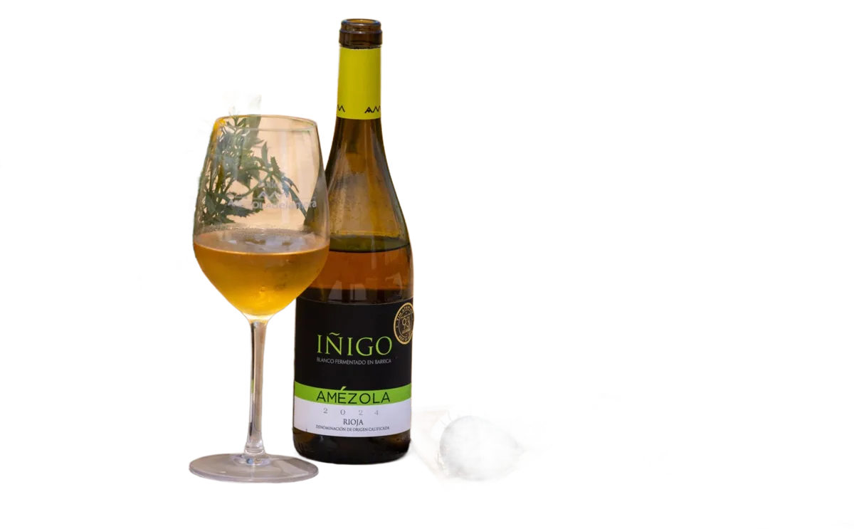 Iñigo Amézola Blanco