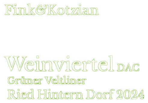 Grüner Veltliner Ried Hintern Dorf