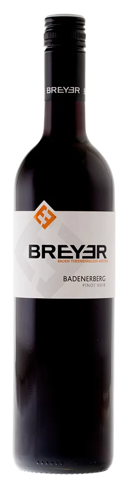 Badner Berg Pinot Noir