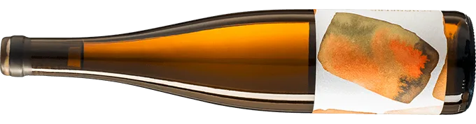 Schönberg Riesling 2025