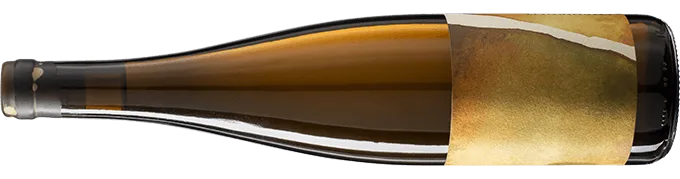 Amphibolit Grüner Veltliner 2021