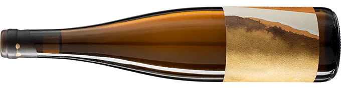 Amphibolit Riesling 2021