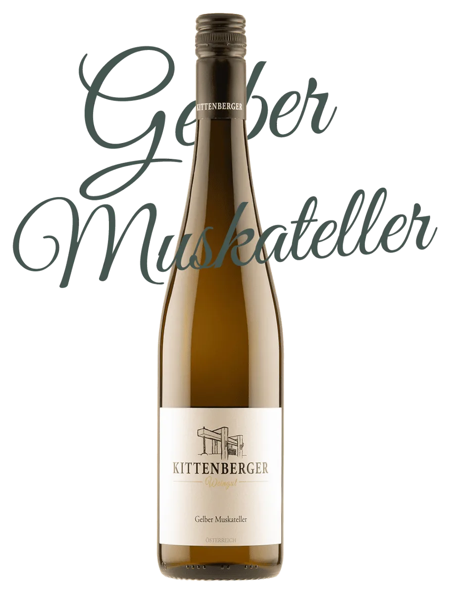 Gelber Muskateller