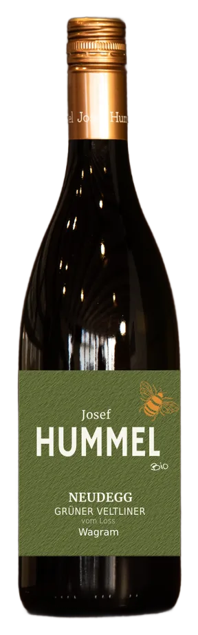 GRÜNER VELTLINER vom Löss
