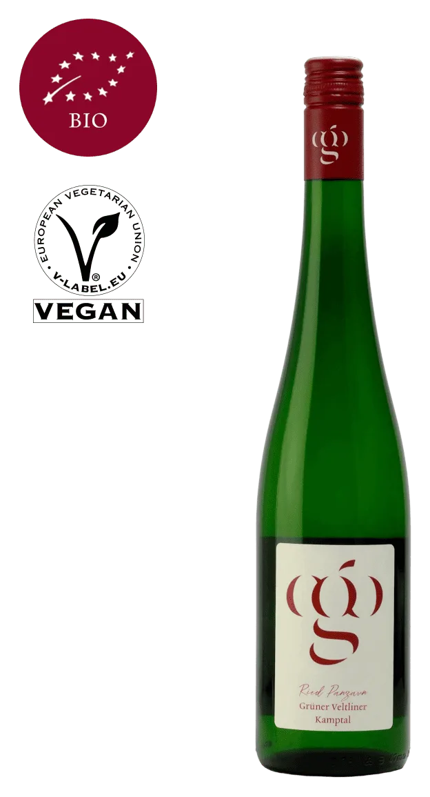 Ried Panzaun Grüner Veltliner Kamptal DAC