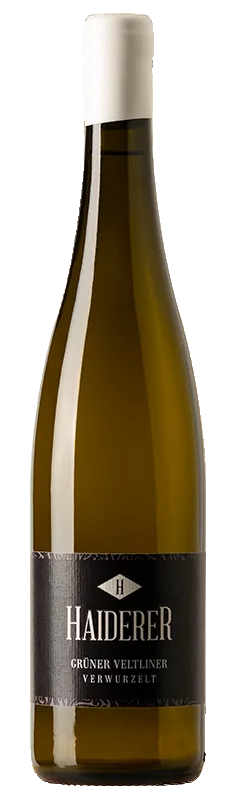 Grüner Veltliner Verwurzelt