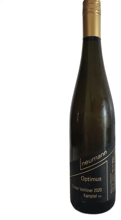 Grüner Veltliner Kamptal DAC 2025