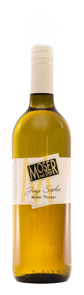 Müller Thurgau Junge Sophia