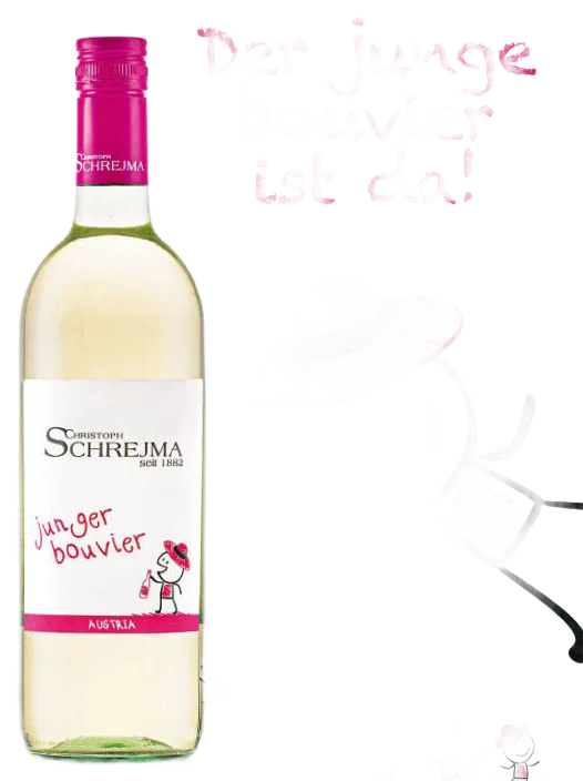 Junger Bouvier 2025