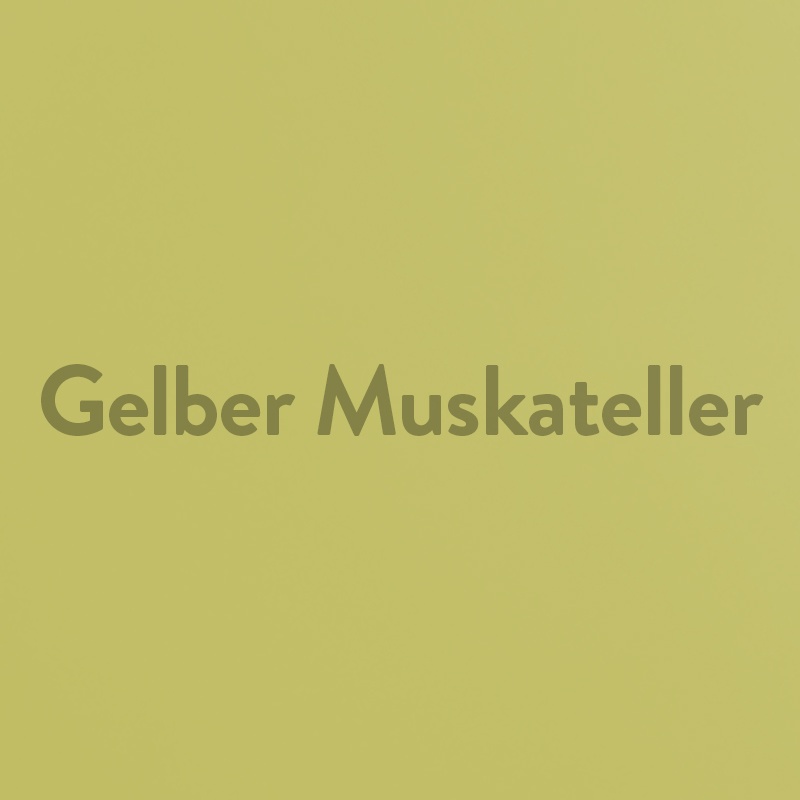 Gelber Muskateller