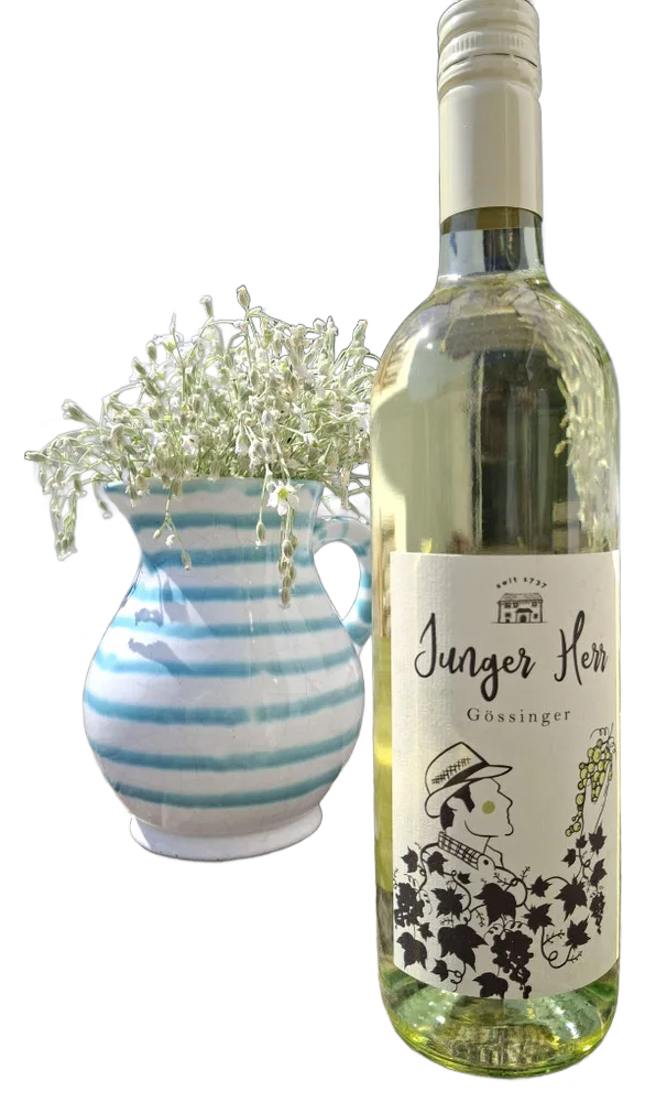 Junger Herr
