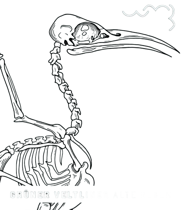 Grüner Veltliner „Alte Reben“ 2021