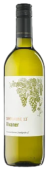SANDGRUBE 13 Rivaner