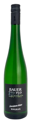 SAUVIGNON BLANC