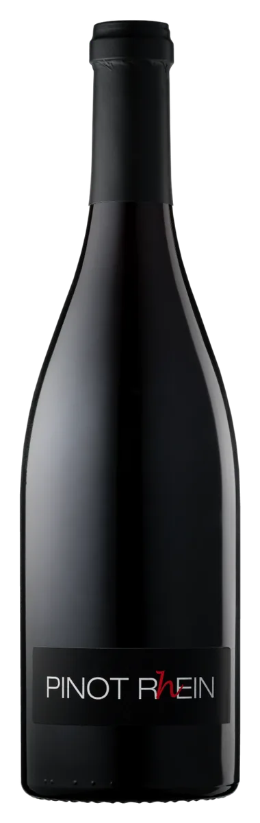 Pinot R(h)ein
