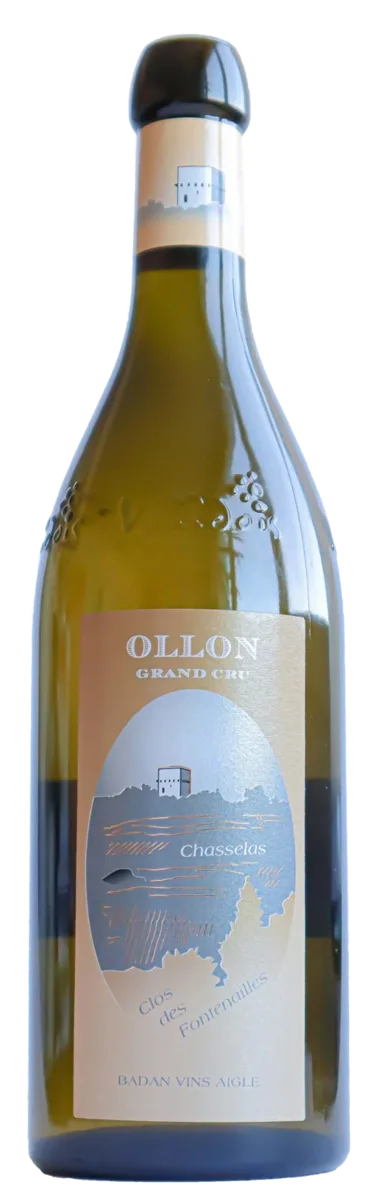 Ollon Grand Cru blanc