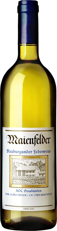 Blauburgunder-Federweiss