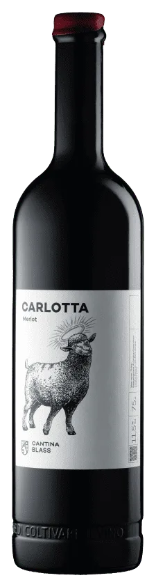 Carlotta