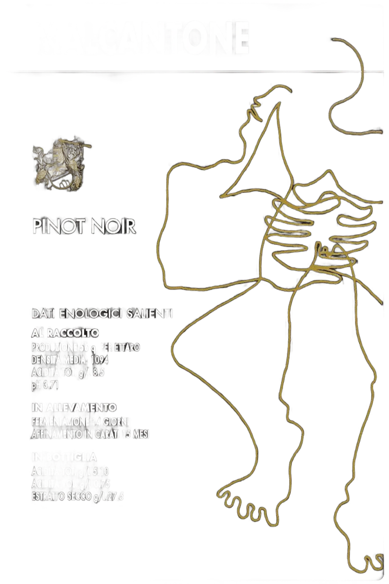 Malcantone Pinot Noir