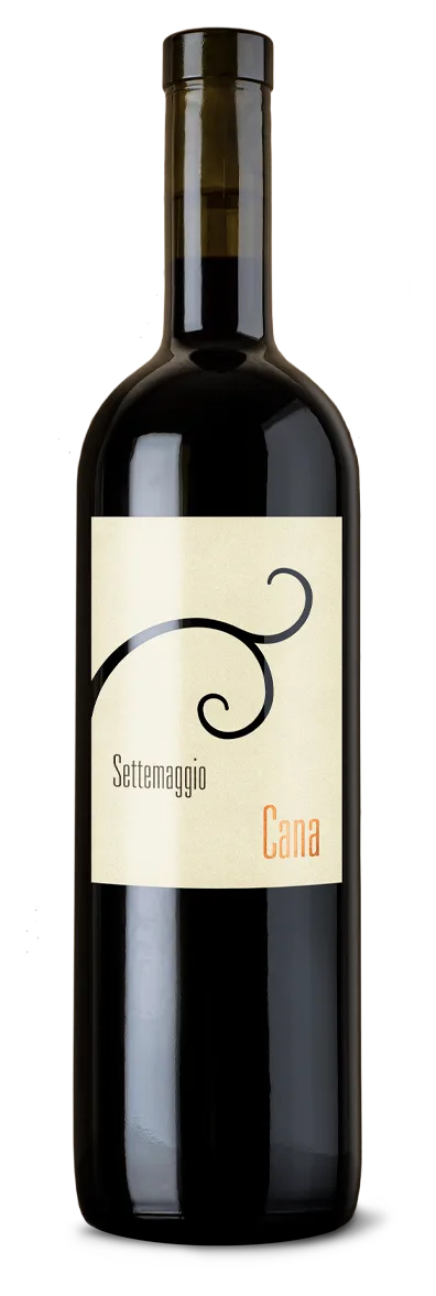 Cana