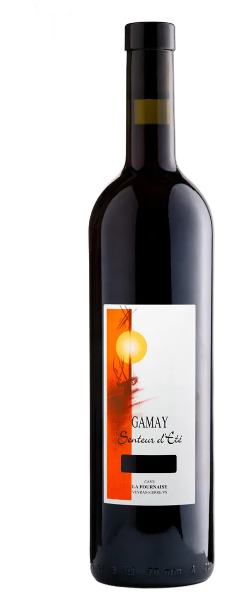 Gamay « Senteur d’Eté »