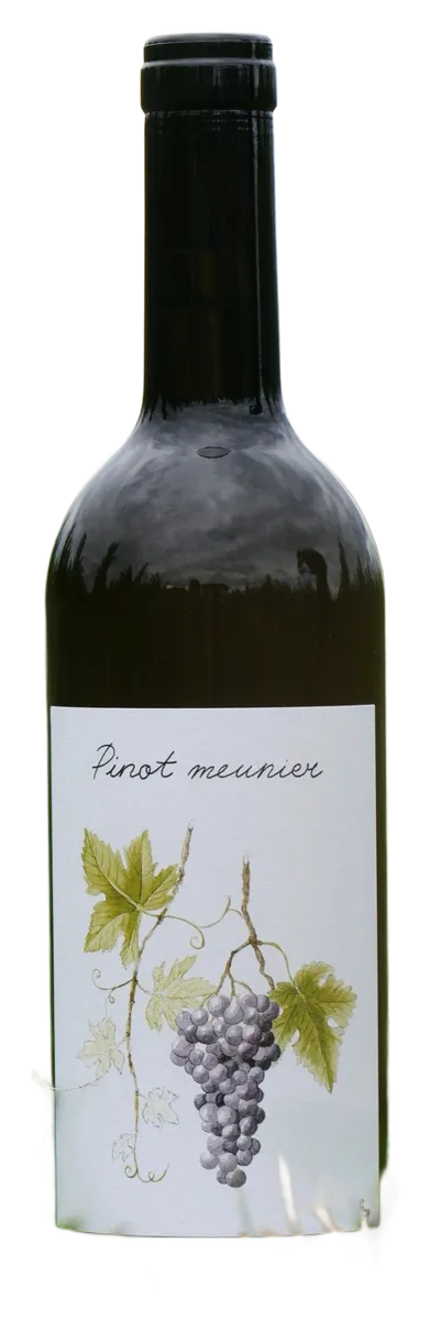 Pinot Meunier 2024, cuvée spéciale