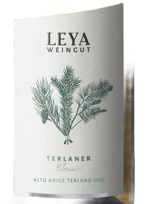 TERLANER Classico