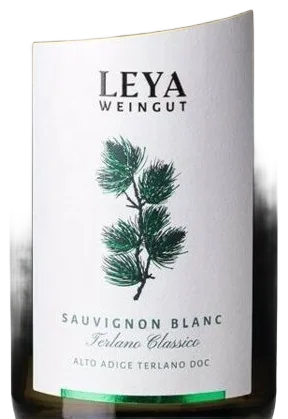 SAUVIGNON BLANC