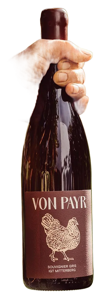 Souvignier Gris