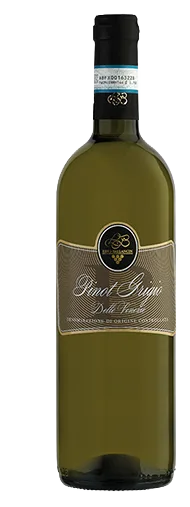 Vino Bianco Tranquillo Pinot Grigio Delle Venezie DOC