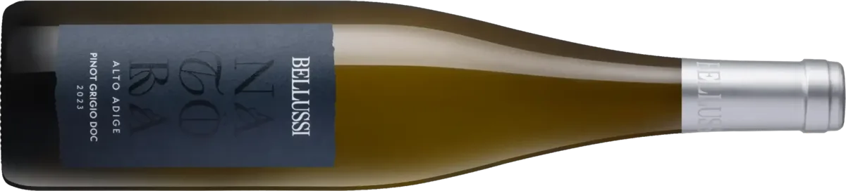Pinot Grigio DOC