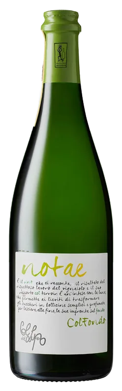 Valdobbiadene Prosecco DOCG -Colfondo “Notae”