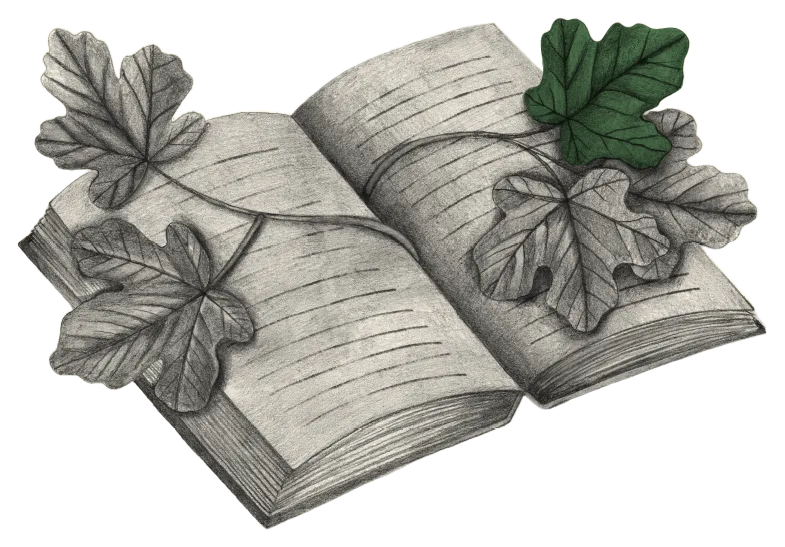 Clorofilla