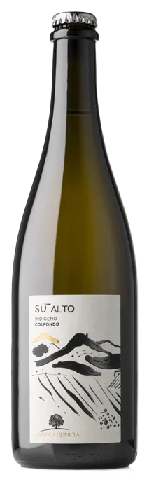 Vino Frizzante Colfondo Indigeno