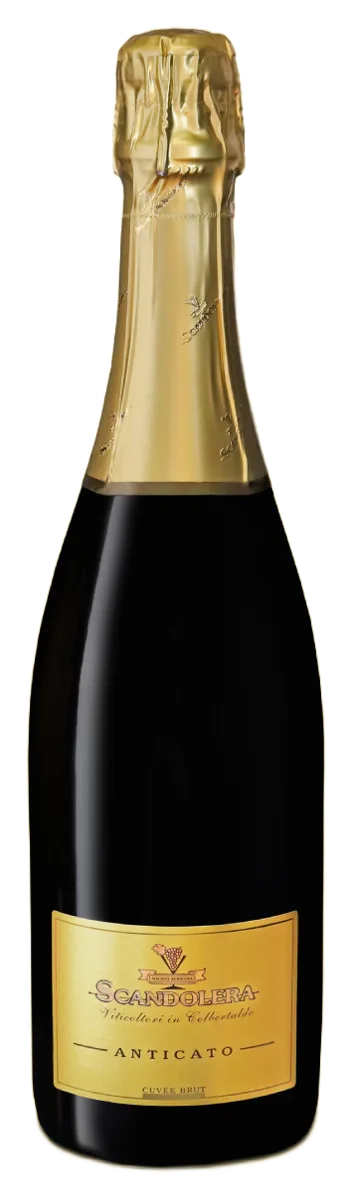 Anticato