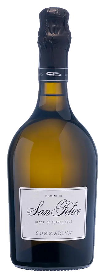 Domini di San Felice Brut