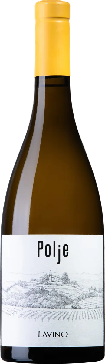 Polje Identita Lavino Pinot Grigio