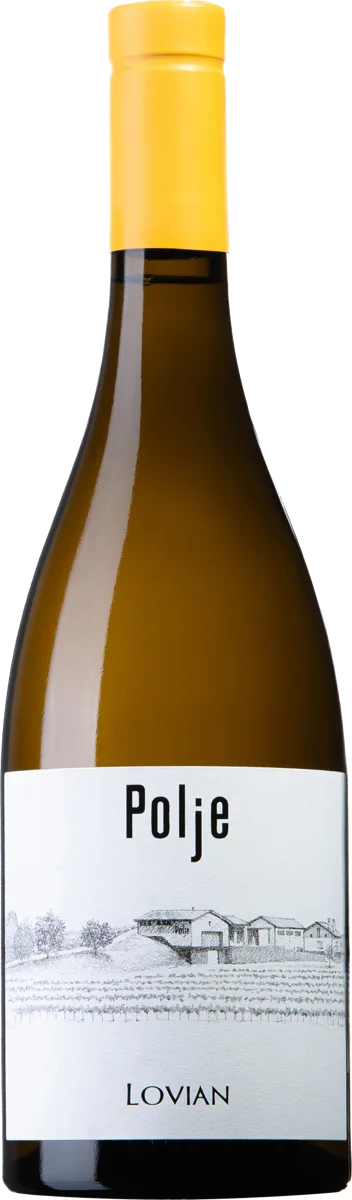 Polje Identita Lovian Sauvignon