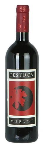 Festuca