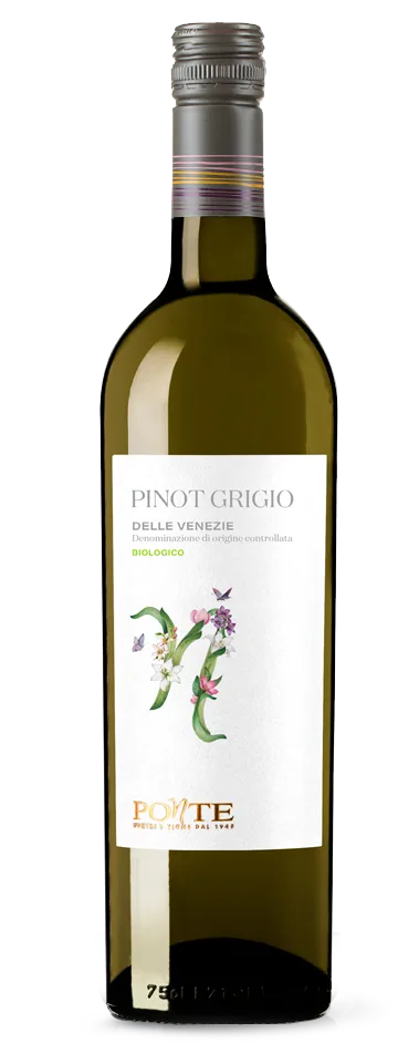 Pinot Grigio BIO Linea Ponte