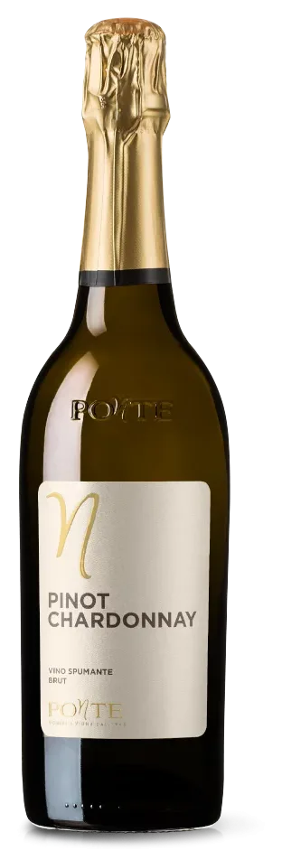 Pinot Chardonnay Spumante Brut