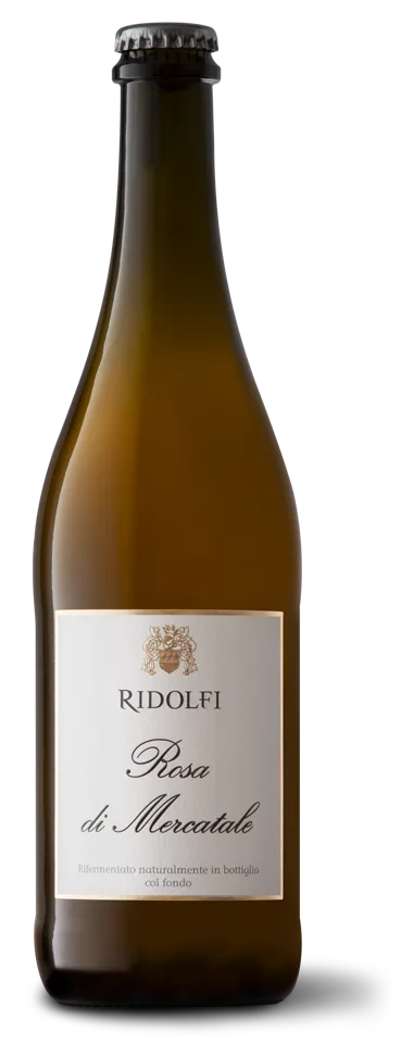 Rosa di Mercatale