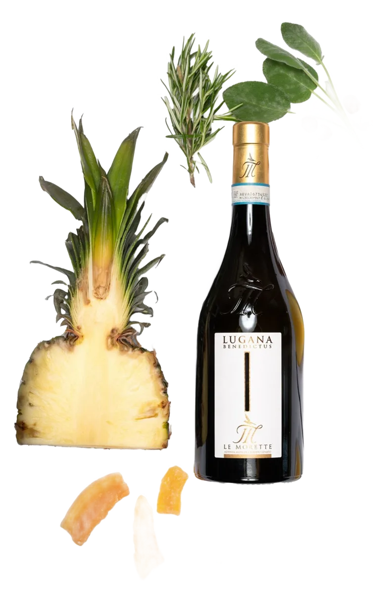 Lugana Benedictus DOC Cru