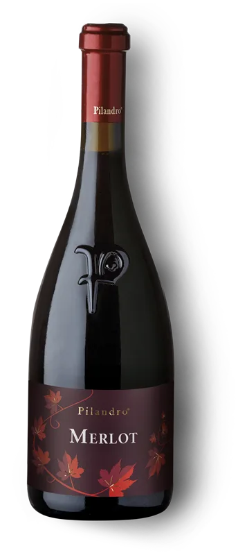 110 e Lode Merlot