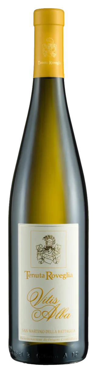 Vitis Alba