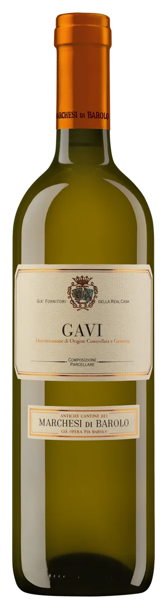 Gavi
