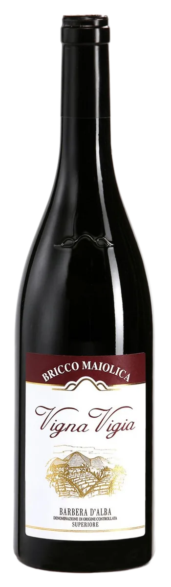 “Vigna Vigia” Barbera d’Alba Superiore